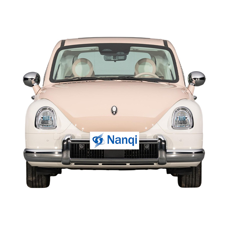 ORA Ballet Cat 500 km Vehículo eléctrico puro 5 puertas 5 asientos Hatchback